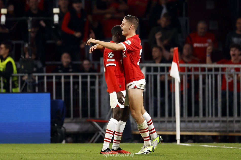 引发了我们 引发了我们